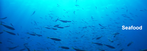 seafood
